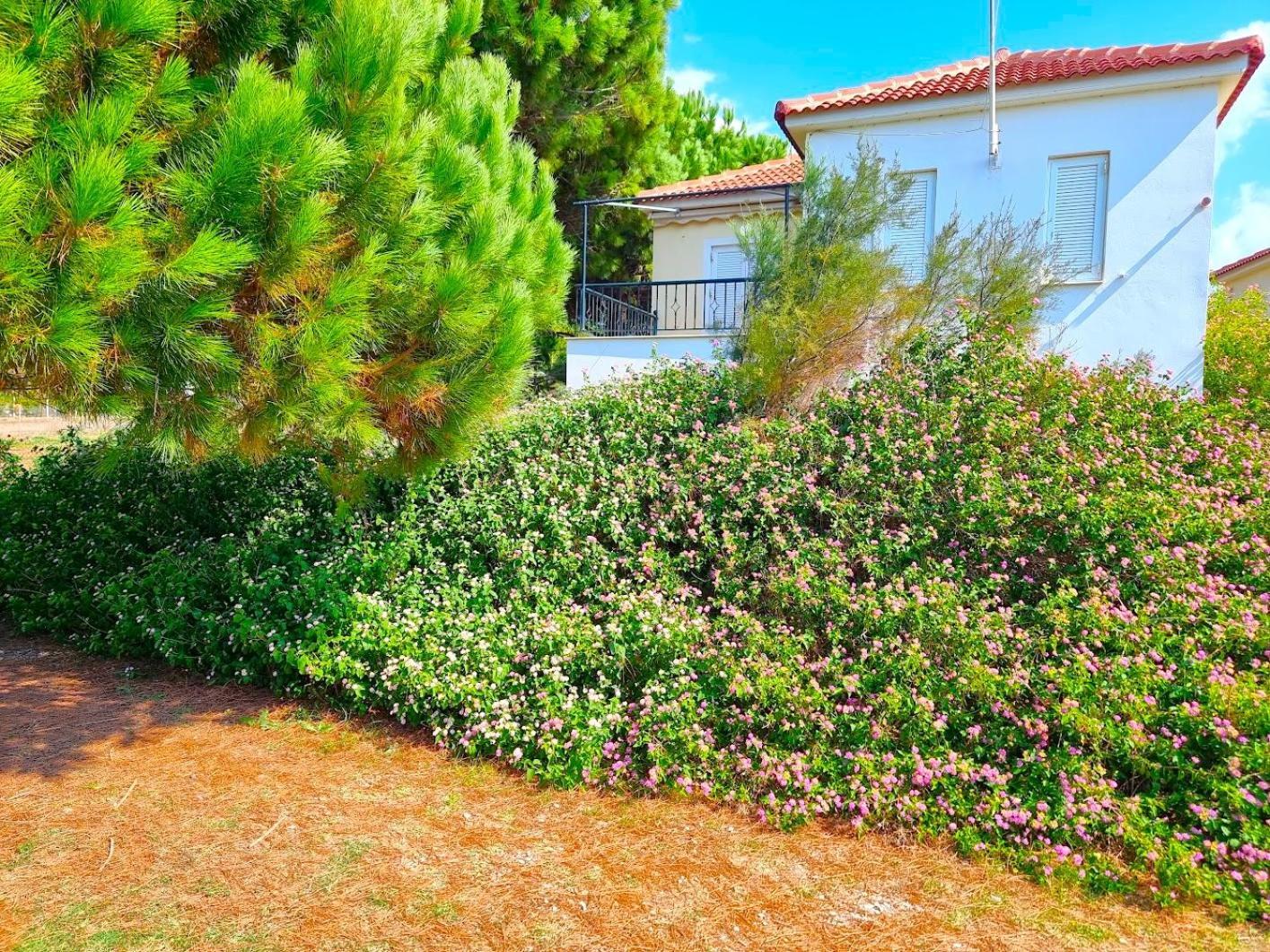 Romanos Beach Villas المظهر الخارجي الصورة